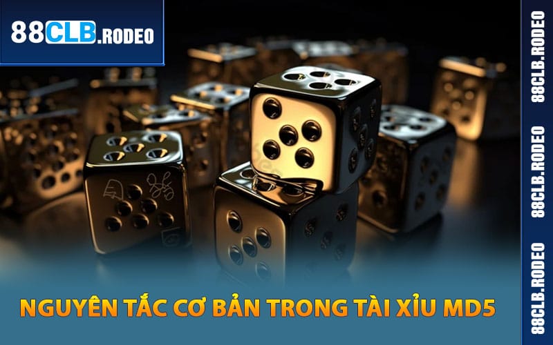 Nguyên tắc cơ bản trong tài xỉu MD5